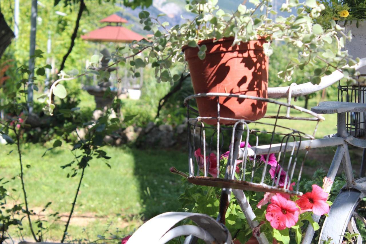 Casa Botanica Villa Blagaj Exterior photo